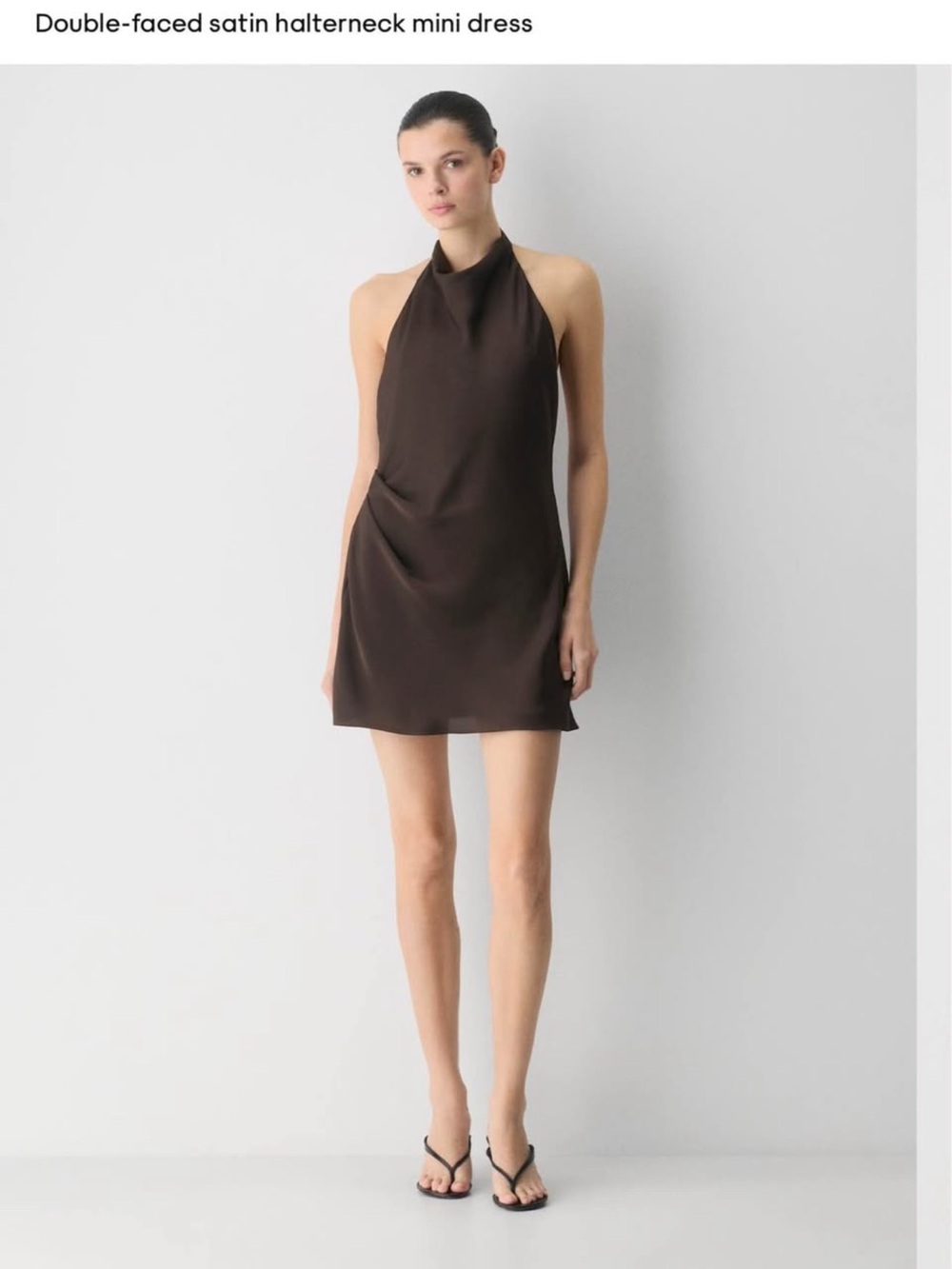 Aritzia Audience Mini Dress in Brown Taupe
